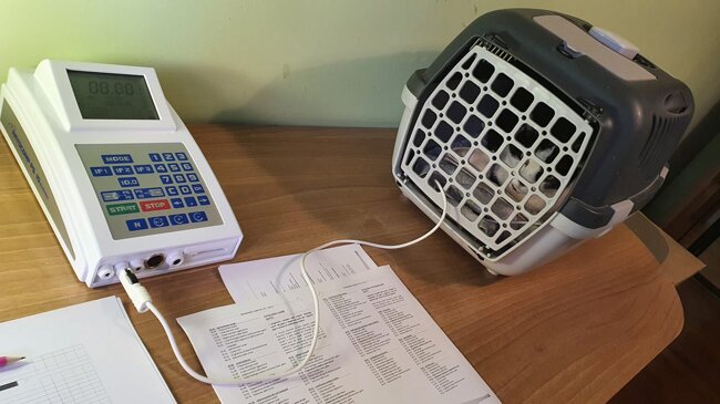 b0ea11d8-8246-467c-90e6-147515c4d48b