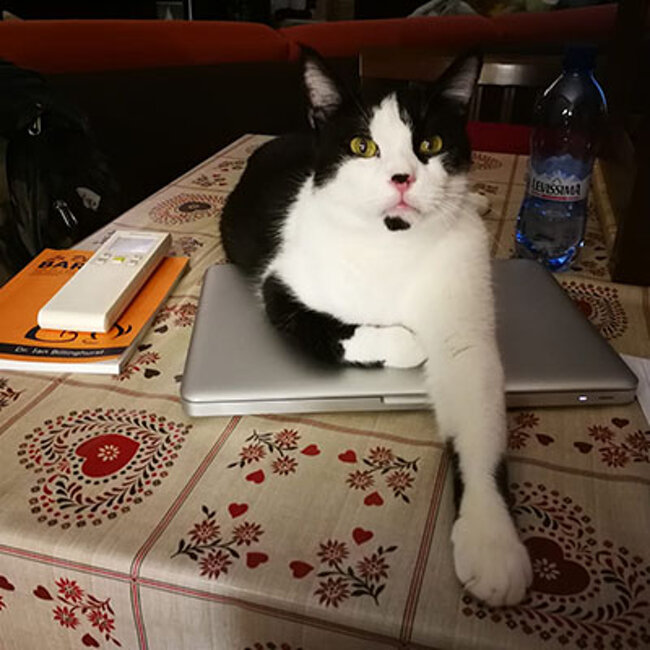 34ad7fdd-8236-4f84-95f6-9da60d43d788