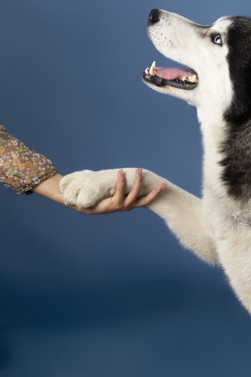 8f661507-8cdd-4dab-99e1-ac066a4c3d59