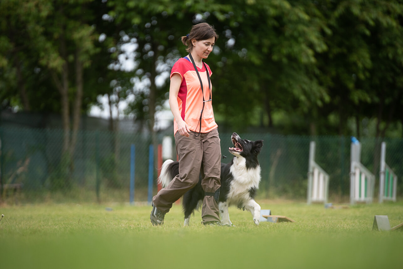 13a4b325-9835-4419-83cd-25673d3b1cd2