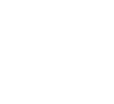 ovalis logo con ovali interni 96