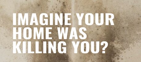 Social housing regeneration, health and public action in Dublin