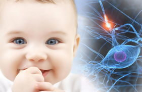 d313970a-3d70-44ae-9740-85f5e99589da d313970a-3d70-44ae-9740-85f5e99589da