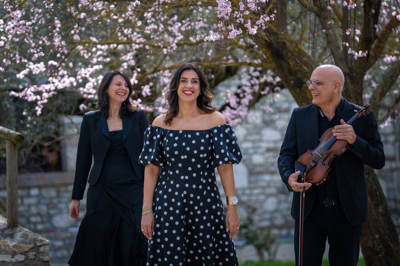 img_7512.jpeg img_7512.jpeg