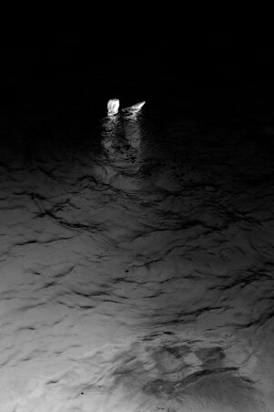 a5a6266d-a624-41ee-af0d-f11ab4b84853 a5a6266d-a624-41ee-af0d-f11ab4b84853