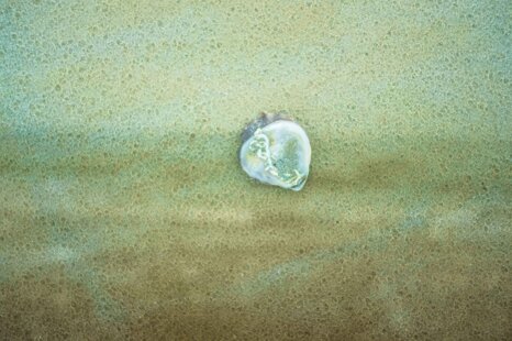 95660508-3300-43ce-9228-92c3d29143db