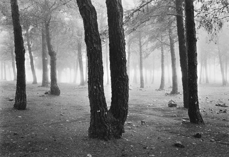 ba2ee636-6ea8-434e-a4da-bc4df3a65ba0 ba2ee636-6ea8-434e-a4da-bc4df3a65ba0