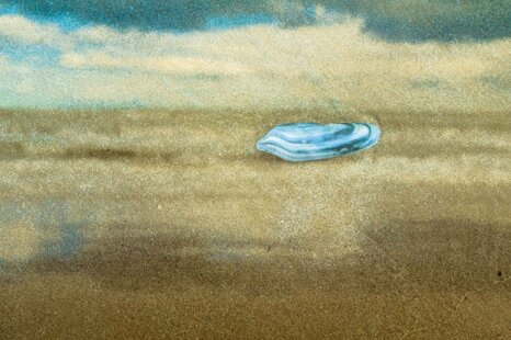 79b97280-8830-4e43-b3bb-0bc65ddca46c