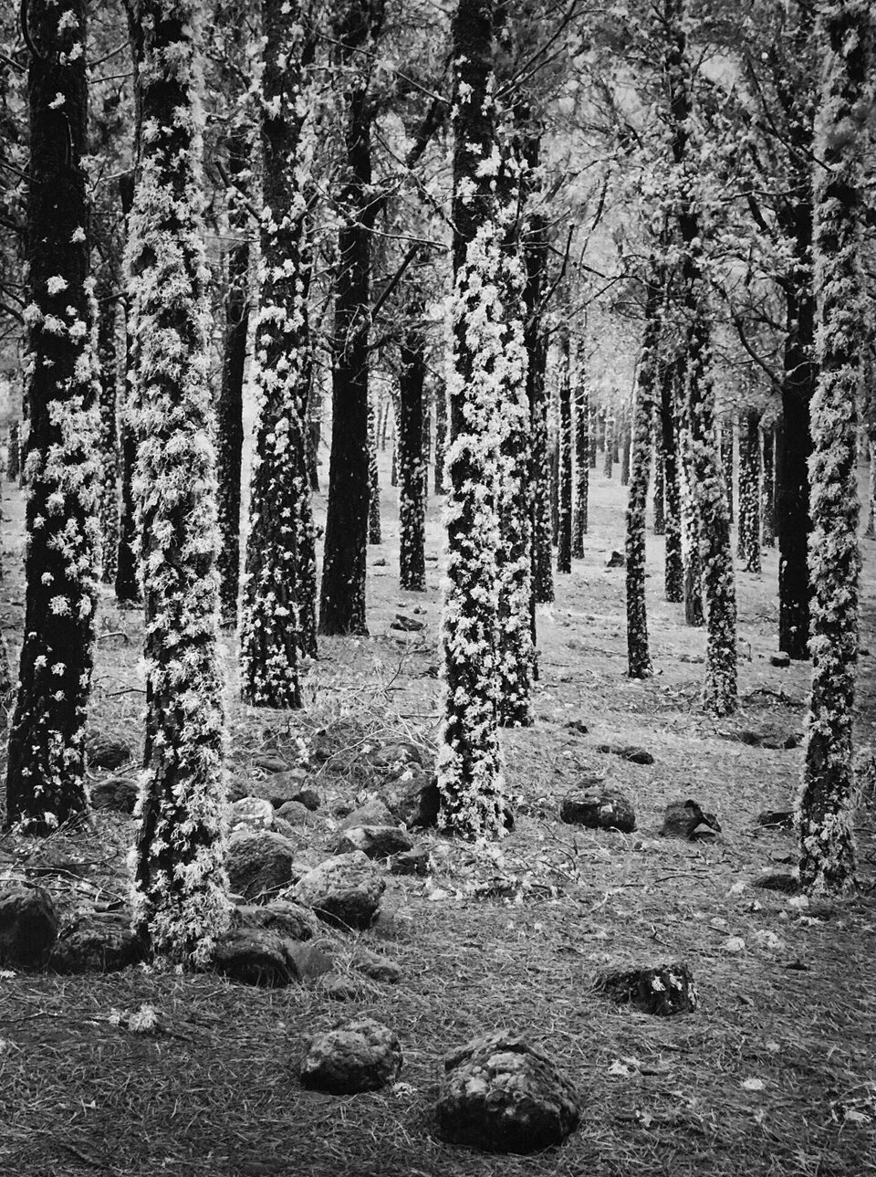 b3c77849-febb-4edd-840d-2e972fc265ac b3c77849-febb-4edd-840d-2e972fc265ac