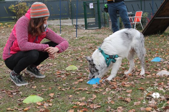 46afda06-58d1-4d52-b390-b8187797927a 46afda06-58d1-4d52-b390-b8187797927a