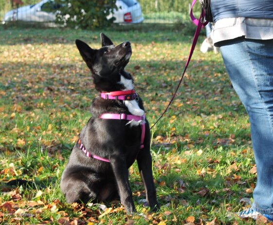 3d01f122-3ed4-4af2-91f1-7b8b3695c020 3d01f122-3ed4-4af2-91f1-7b8b3695c020