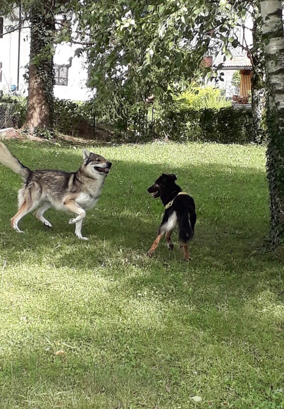 0921c2ea-7960-49dc-9772-3366ac36966b 0921c2ea-7960-49dc-9772-3366ac36966b