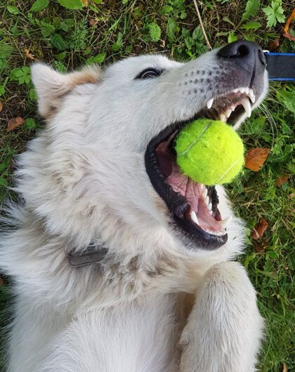 2937fadf-a996-4c73-a470-8261cb471957 2937fadf-a996-4c73-a470-8261cb471957