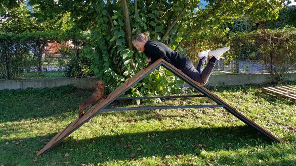 897bea86-9215-4c1b-b9e0-4d548ee7106c 897bea86-9215-4c1b-b9e0-4d548ee7106c