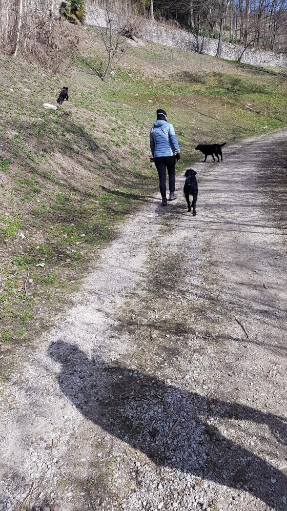 dceaf4ca-9aae-4c57-8c78-20145ccef677 dceaf4ca-9aae-4c57-8c78-20145ccef677