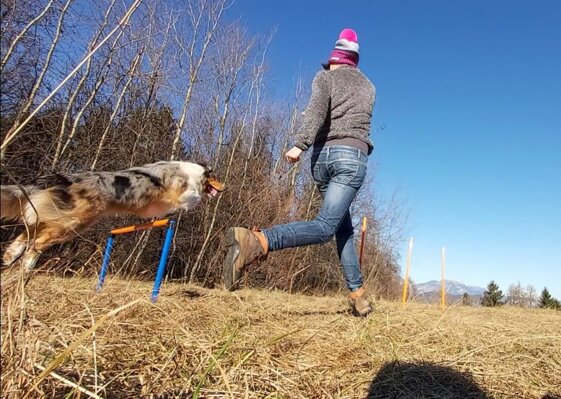 b6c47cb8-416b-49e2-8d49-8ab5d1acdc80 b6c47cb8-416b-49e2-8d49-8ab5d1acdc80