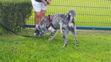 353ef058-0122-4ef5-bc9d-f811252f524f 353ef058-0122-4ef5-bc9d-f811252f524f