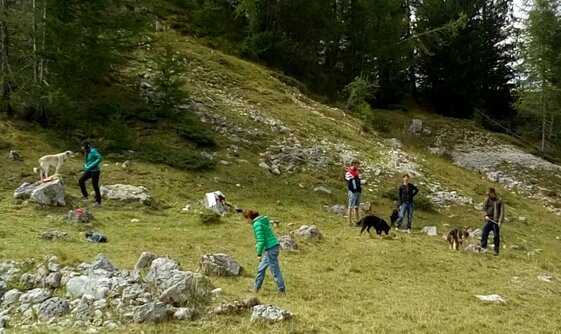 64276055-a4c6-4a02-b51d-50683467e827 64276055-a4c6-4a02-b51d-50683467e827