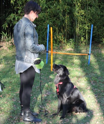 b43ad0d9-4e41-4034-b9d0-1272c706d9c0 b43ad0d9-4e41-4034-b9d0-1272c706d9c0