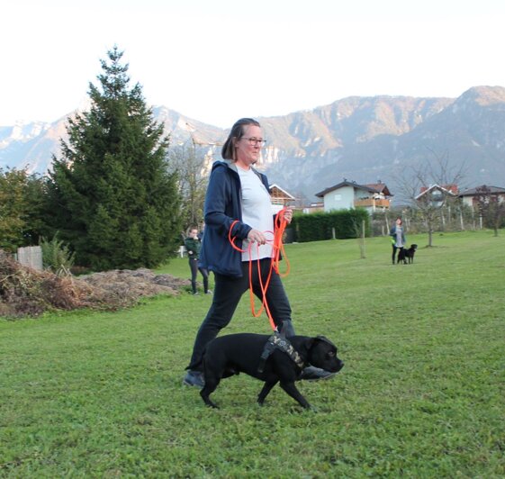 5bea89f9-c6e4-409d-ab2f-666a620332b8 5bea89f9-c6e4-409d-ab2f-666a620332b8