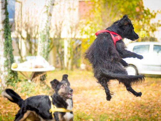 07c1a4a6-ae32-4d40-8259-2e23f81d5fec