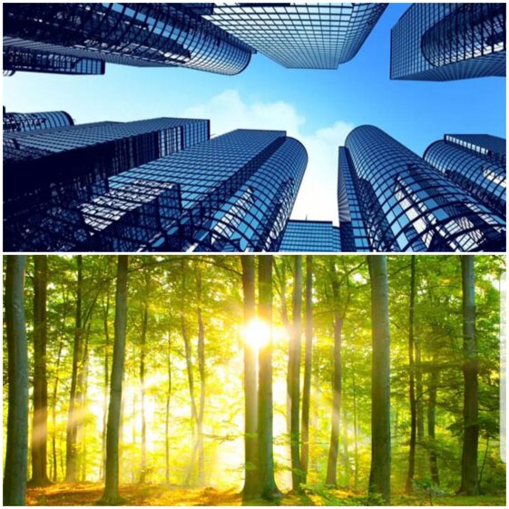 2a4b73fa-acd3-4564-89ba-310e3015c03b 2a4b73fa-acd3-4564-89ba-310e3015c03b