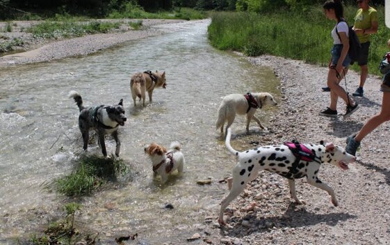 1a9dca79-7e0f-40cc-a6fe-f58f3d2ea753.jpeg 1a9dca79-7e0f-40cc-a6fe-f58f3d2ea753.jpeg