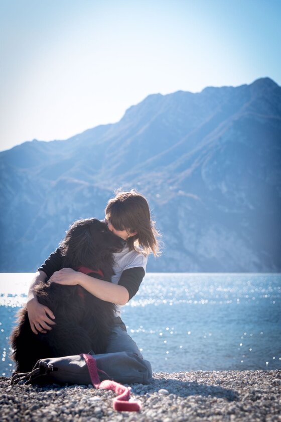 97d128a0-4cb3-41f5-af81-5c3665b1dcc7 97d128a0-4cb3-41f5-af81-5c3665b1dcc7