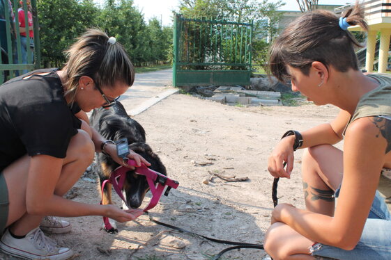 7e50887a-9b71-4506-83bb-2c9a5c816d79 7e50887a-9b71-4506-83bb-2c9a5c816d79