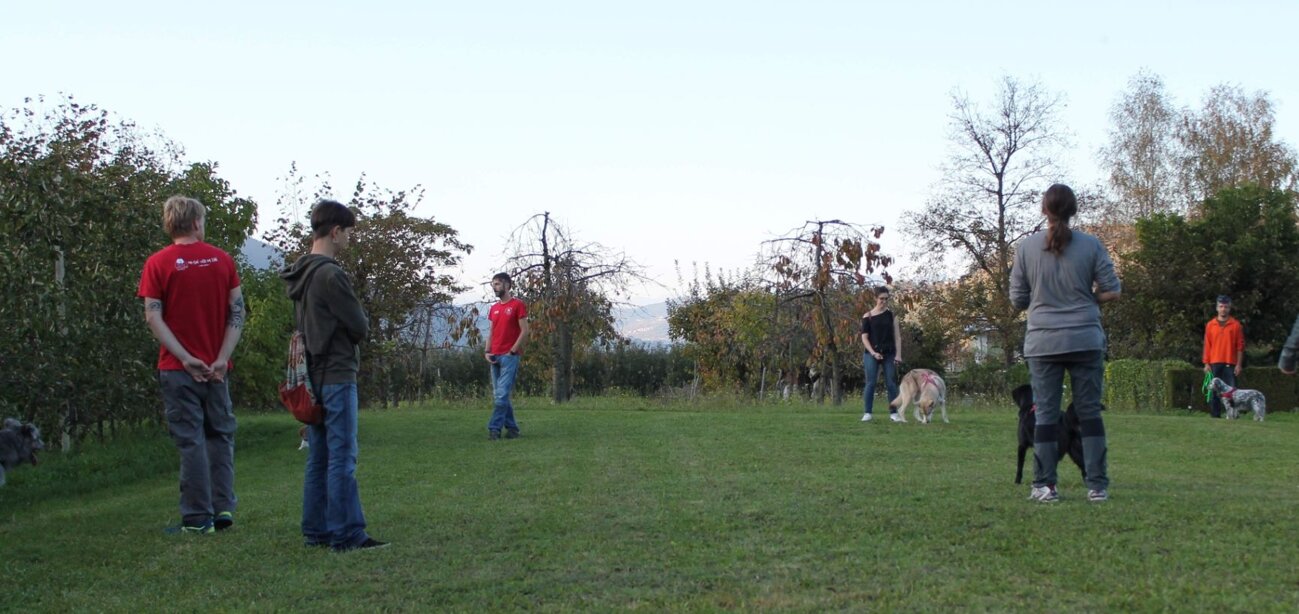 e880cefa-bc5c-446b-9408-8eb27f6451ba e880cefa-bc5c-446b-9408-8eb27f6451ba