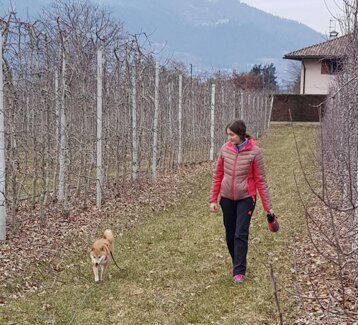 968f7f0a-6057-4673-bf5b-c0256b2e6ad5 968f7f0a-6057-4673-bf5b-c0256b2e6ad5