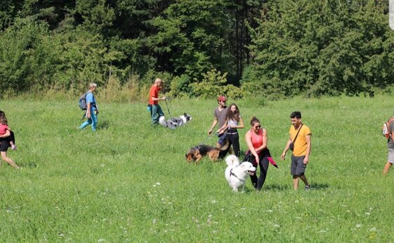 16a972ba-55c8-4591-8892-04e5500870e2.jpeg 16a972ba-55c8-4591-8892-04e5500870e2.jpeg