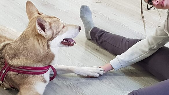 f3082863-5c23-4c15-a11e-fd2df6fec17f f3082863-5c23-4c15-a11e-fd2df6fec17f