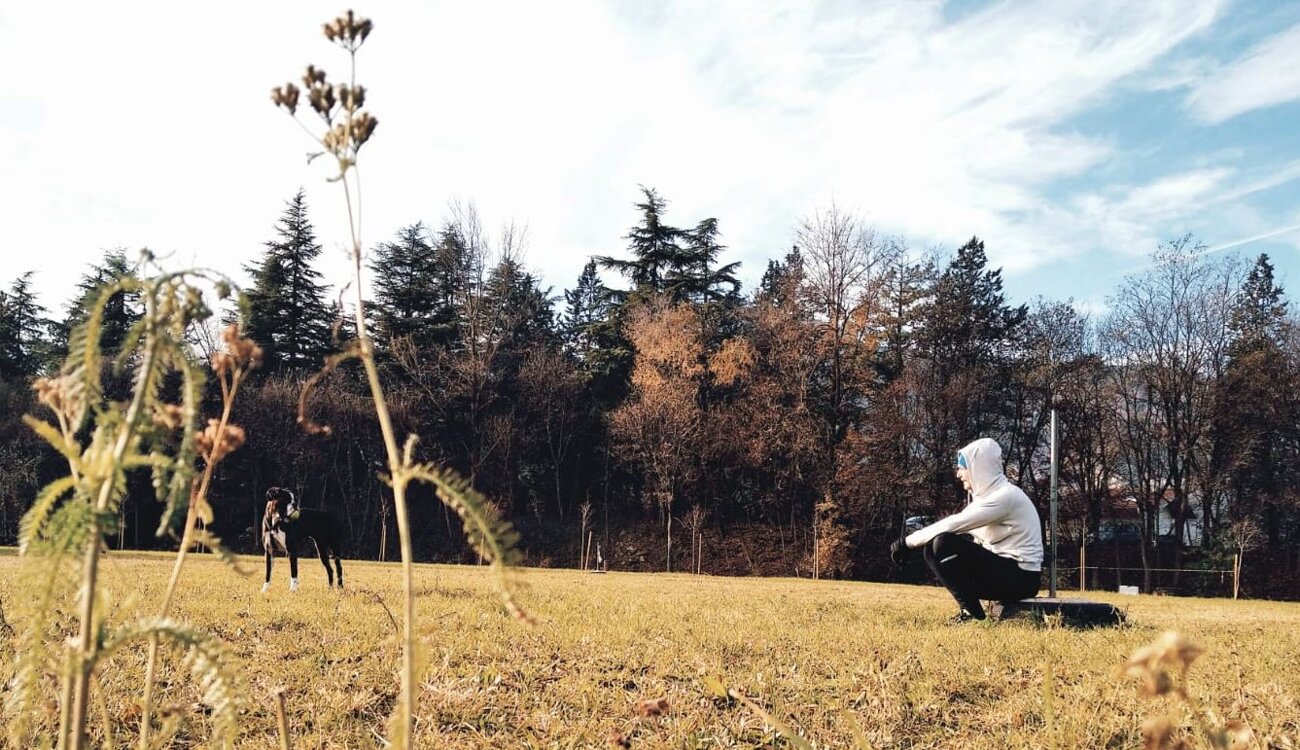 bbafbff7-8d2e-4051-9367-76859c358bf3 bbafbff7-8d2e-4051-9367-76859c358bf3