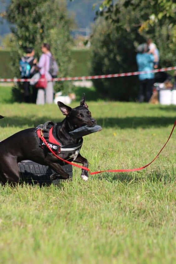 e85fa6d3-52df-4f2d-be52-5e6f65c870c8.jpeg e85fa6d3-52df-4f2d-be52-5e6f65c870c8.jpeg