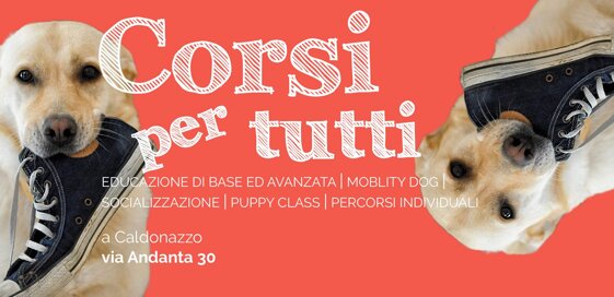 a230fd6f-3503-414f-bcae-3393395d7f98