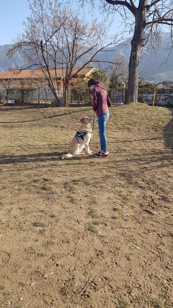 0f00de84-4be0-4ec5-befb-0c40f96ad8c9 0f00de84-4be0-4ec5-befb-0c40f96ad8c9