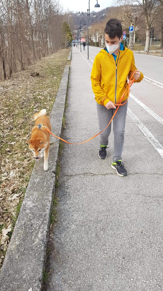 40fc7658-e532-4954-abbf-86e77fa05205 40fc7658-e532-4954-abbf-86e77fa05205