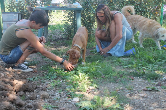 3db5a50f-7c4a-4f8a-b57f-e61a1526cbaf 3db5a50f-7c4a-4f8a-b57f-e61a1526cbaf