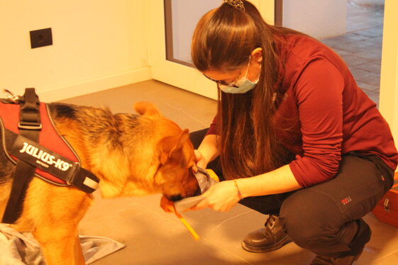 267ddf49-6b71-42c9-8e3b-5e2712e7a875 267ddf49-6b71-42c9-8e3b-5e2712e7a875