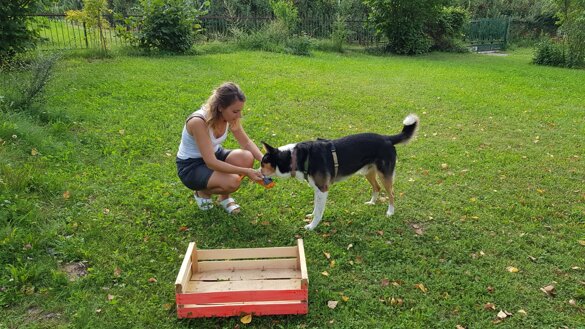 cf36b91a-bcbb-4321-a45f-c56897e3279b cf36b91a-bcbb-4321-a45f-c56897e3279b