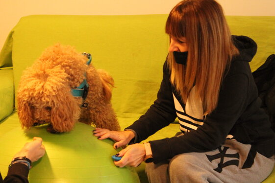 623455a4-973a-46a1-9799-76e1d262351d 623455a4-973a-46a1-9799-76e1d262351d