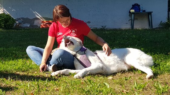 e7149625-236c-490e-bf46-77c1b8b9ec69 e7149625-236c-490e-bf46-77c1b8b9ec69