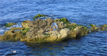 virgenorishas