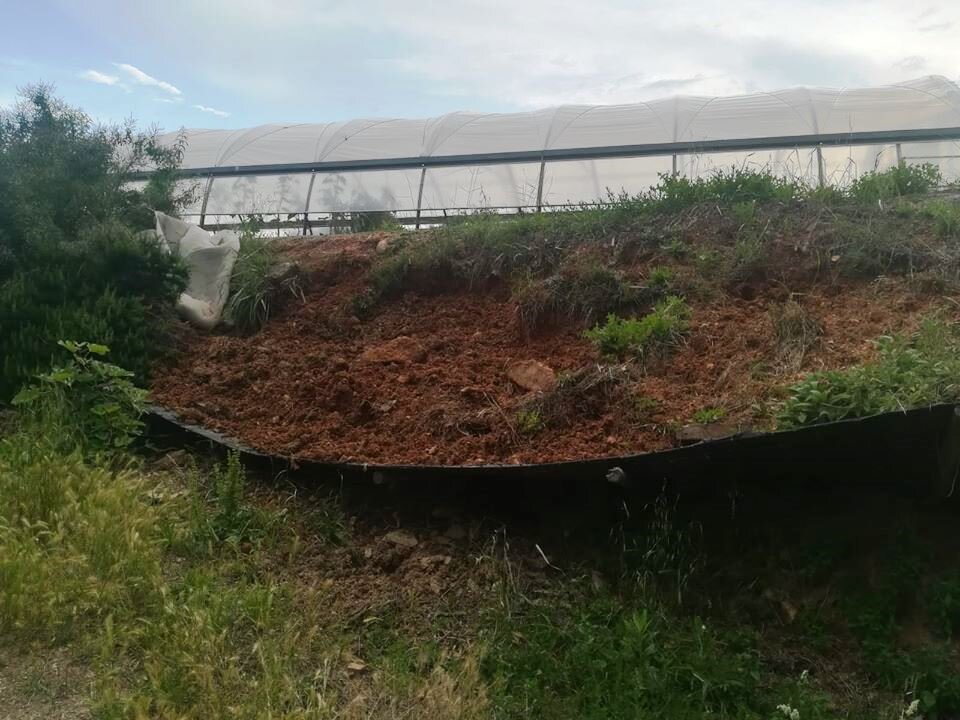 Lettera ai sindaci per il database sui danni della fauna selvatica