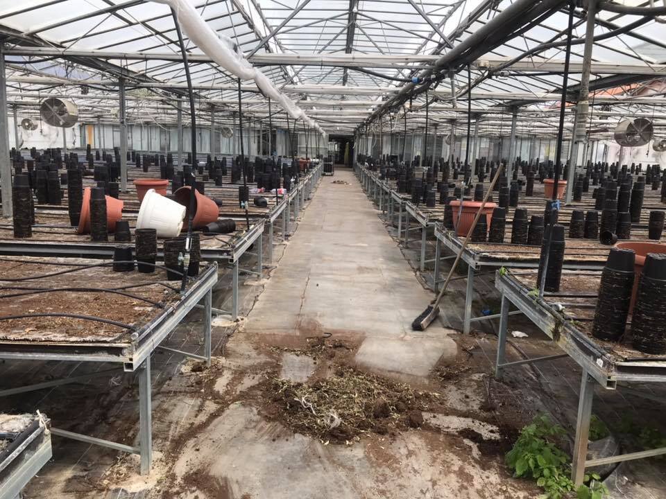 Incontro sulle novit&agrave; nel settore floricolo