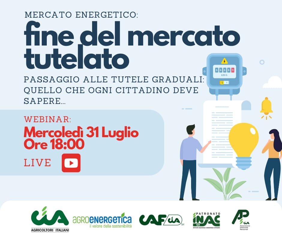 Energia, dal mercato tutelato al mercato libero: webinar il 31 luglio