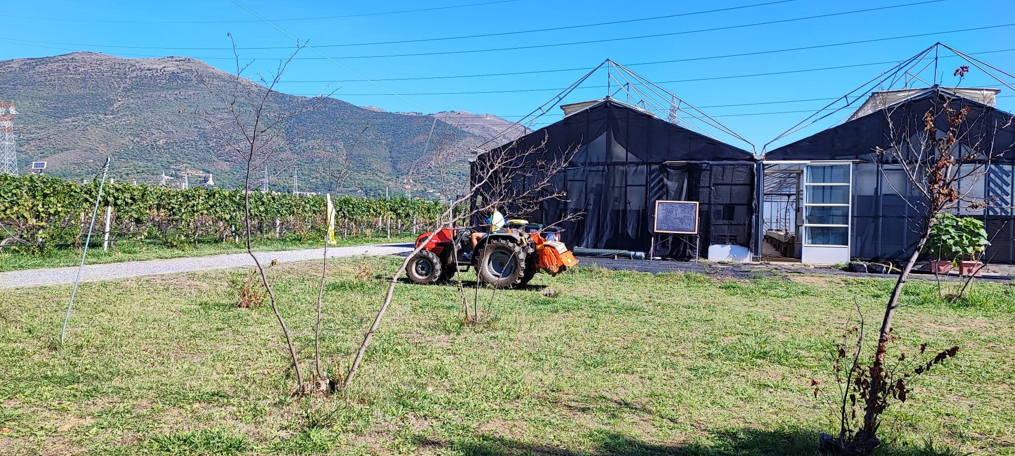 Reddito, clima, aree rurali e infrastrutture, la conferenza economica di Cia-Agricoltori Italiani