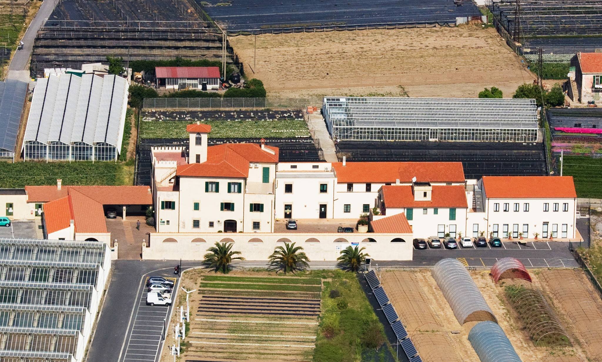 "Olio e conserve: le sfide nella produzione, problemi e soluzioni". Seminario per il settore agroalimentare