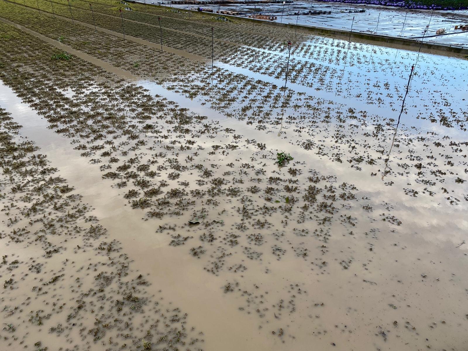 Tavolo Verde: "Pressing per ripascimento con materiale del fiume Centa"